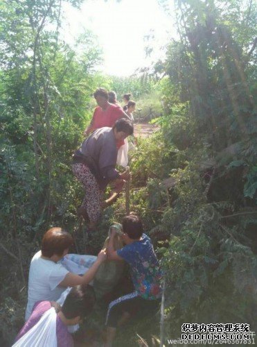 河北百畝梨園遭村民哄搶 磚墻被推倒職工被打